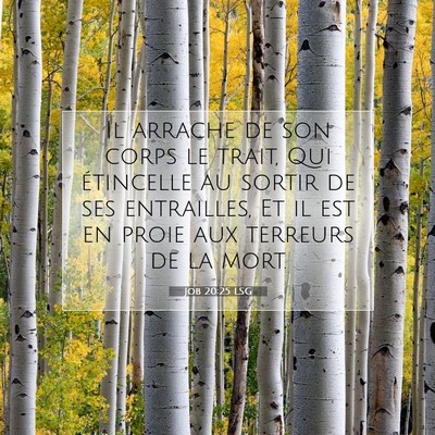 Job 20:25 LSG Image du verset biblique