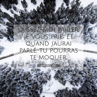 Job 21:3 LSG Image du verset biblique