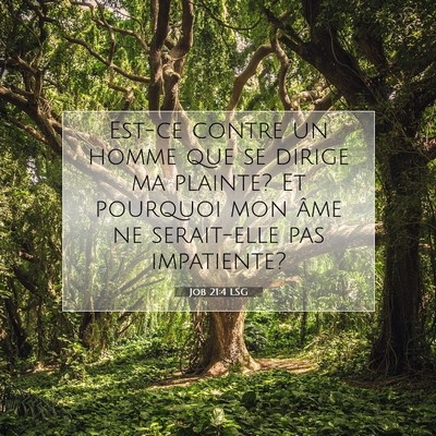 Job 21:4 LSG Image du verset biblique
