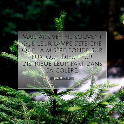 Job 21:17 LSG Image du verset biblique