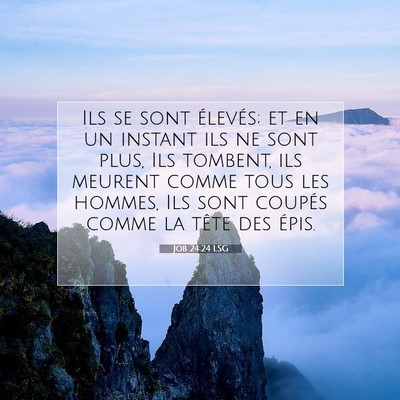 Job 24:24 LSG Image du verset biblique