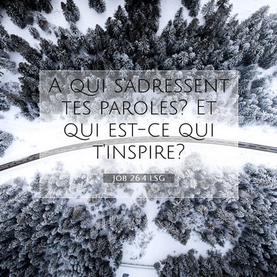 Job 26:4 LSG Image du verset biblique