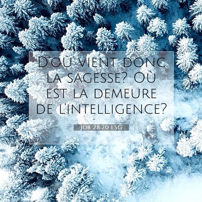 Job 28:20 LSG Image du verset biblique