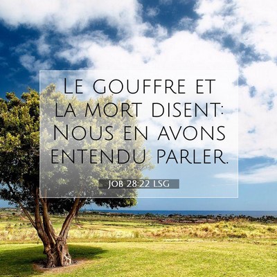 Job 28:22 LSG Image du verset biblique