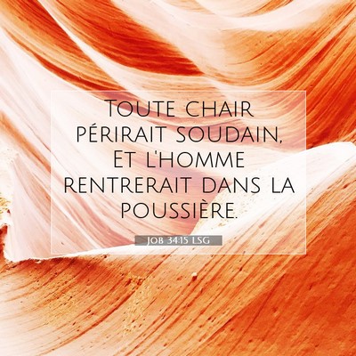 Job 34:15 LSG Image du verset biblique