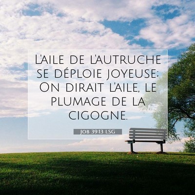 Job 39:13 LSG Image du verset biblique