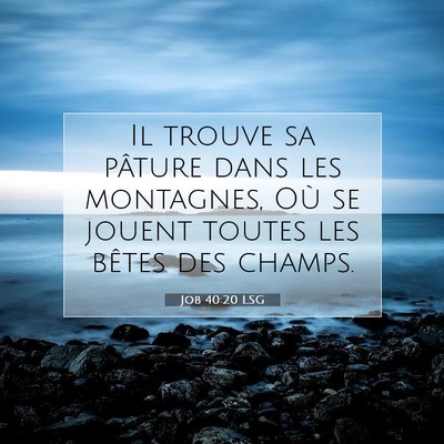 Job 40:20 Verset biblique expliqué