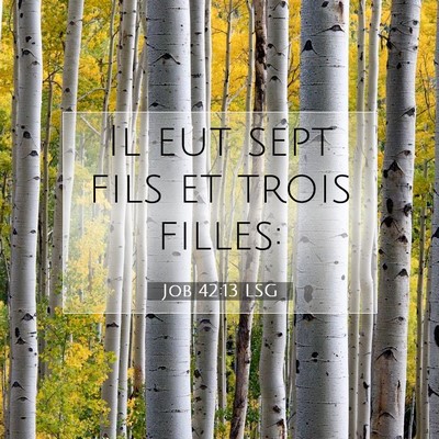 Job 42:13 LSG Image du verset biblique