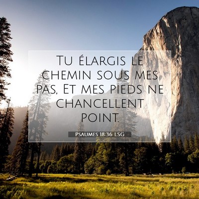 Psaumes 18:36 LSG Image du verset biblique
