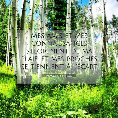 Psaumes 38:11 LSG Image du verset biblique