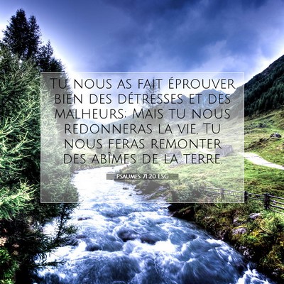 Psaumes 71:20 LSG Image du verset biblique