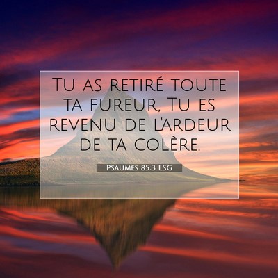 Psaumes 85:3 LSG Image du verset biblique
