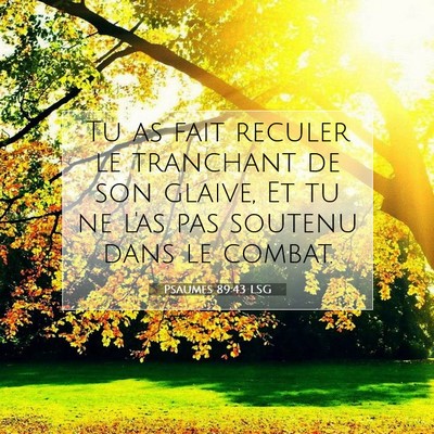 Psaumes 89:43 Verset biblique expliqué