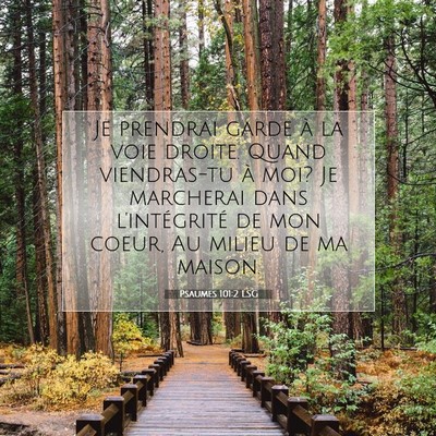 Psaumes 101:2 LSG Image du verset biblique