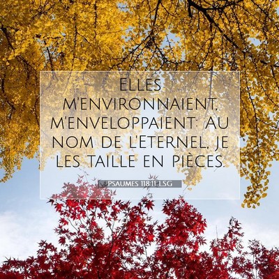 Psaumes 118:11 LSG Image du verset biblique