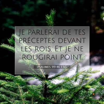 Psaumes 119:46 LSG Image du verset biblique