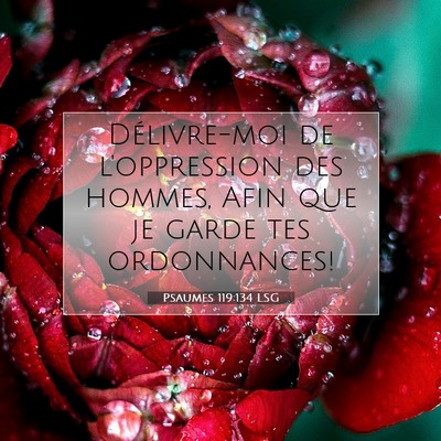 Psaumes 119:134 LSG Image du verset biblique