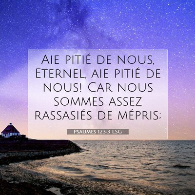 Psaumes 123:3 LSG Image du verset biblique