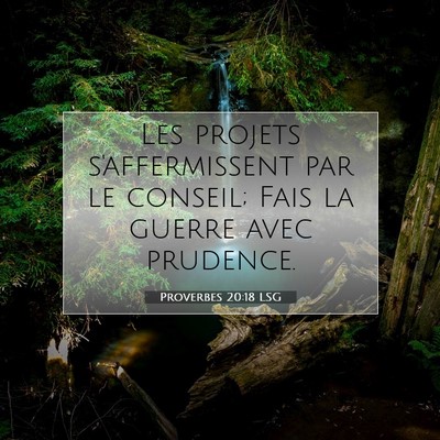 Proverbes 20:18 LSG Image du verset biblique