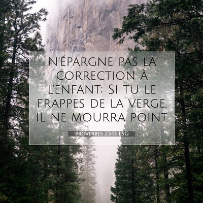Proverbes 23:13 LSG Image du verset biblique
