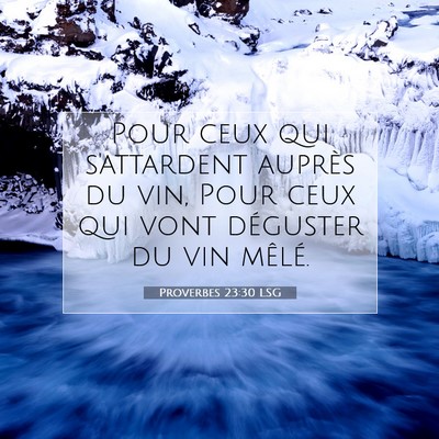 Proverbes 23:30 LSG Image du verset biblique
