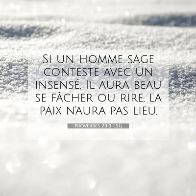 Proverbes 29:9 LSG Image du verset biblique