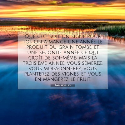 Ésaïe 37:30 LSG Image du verset biblique