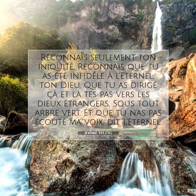 Jérémie 3:13 LSG Image du verset biblique