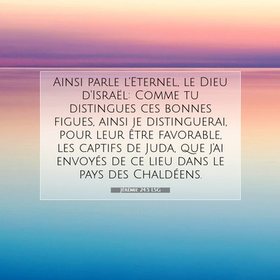 Jérémie 24:5 LSG Image du verset biblique