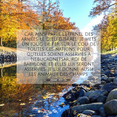 Jérémie 28:14 LSG Image du verset biblique