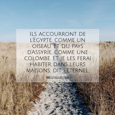 Osée 11:11 Verset biblique expliqué