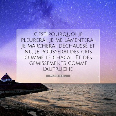 Michée 1:8 LSG Image du verset biblique