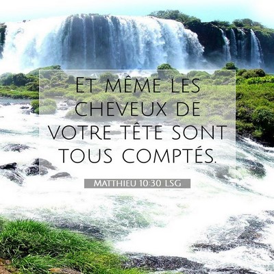 Matthieu 10:30 LSG Image du verset biblique