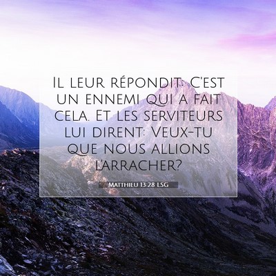 Matthieu 13:28 LSG Image du verset biblique