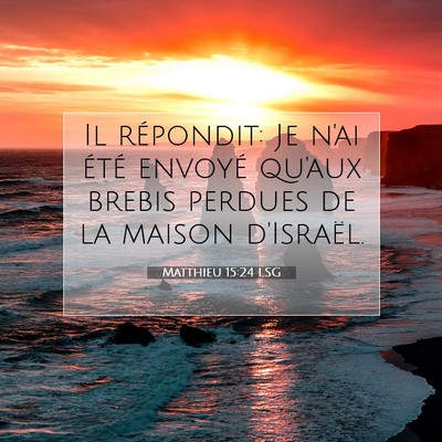 Matthieu 15:24 LSG Image du verset biblique