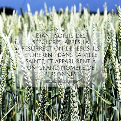 Matthieu 27:53 LSG Image du verset biblique