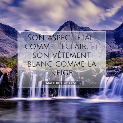 Matthieu 28:3 LSG Image du verset biblique