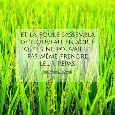 Marc 3:20 Verset biblique expliqué