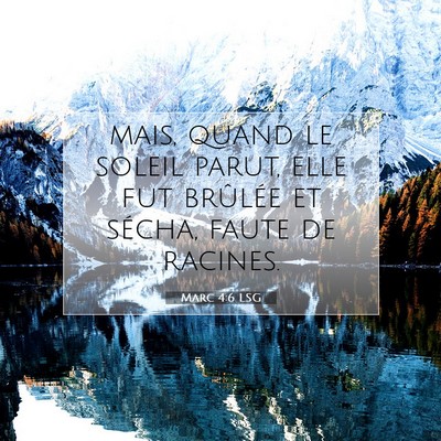Marc 4:6 Verset biblique expliqué