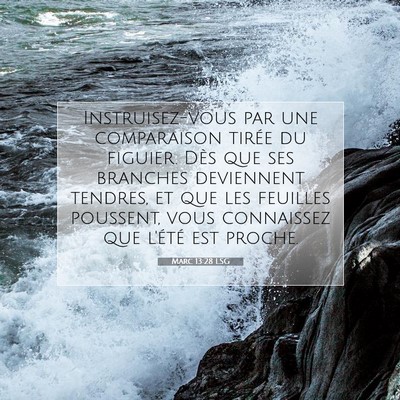 Marc 13:28 Verset biblique expliqué