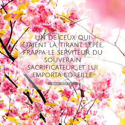 Marc 14:47 Verset biblique expliqué