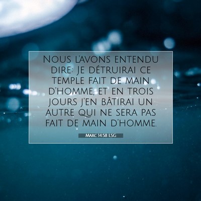 Marc 14:58 LSG Image du verset biblique