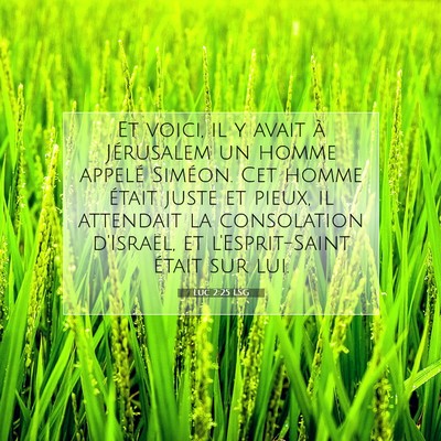 Luc 2:25 Verset biblique expliqué
