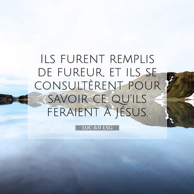 Luc 6:11 Verset biblique expliqué