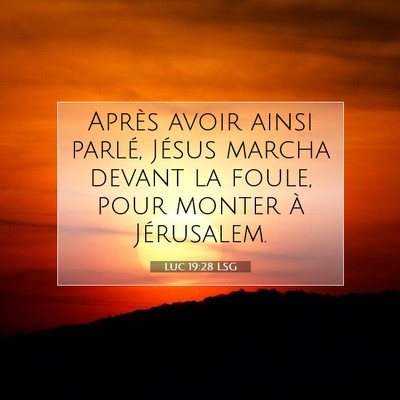 Luc 19:28 Verset biblique expliqué