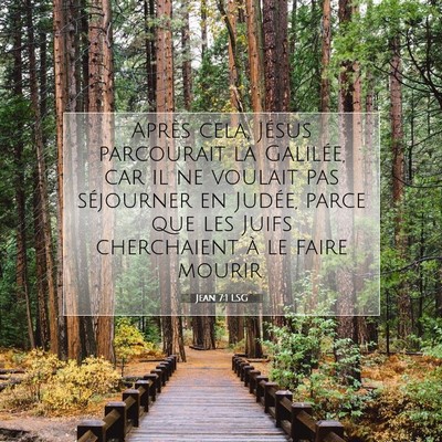 Jean 7:1 LSG Image du verset biblique