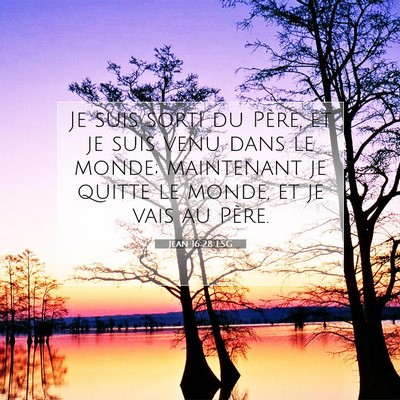 Jean 16:28 LSG Image du verset biblique