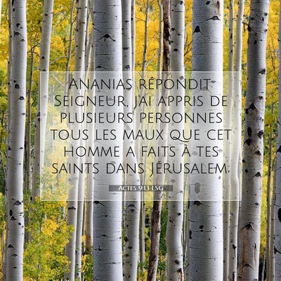 Actes 9:13 Verset biblique expliqué