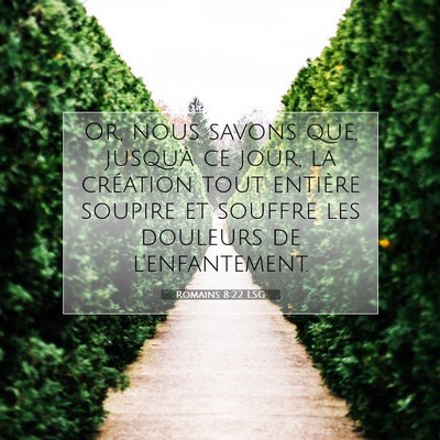 Romains 8:22 Verset biblique expliqué