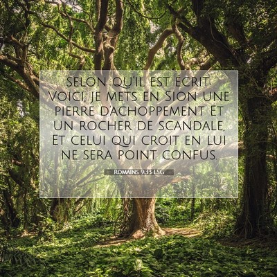Romains 9:33 LSG Image du verset biblique